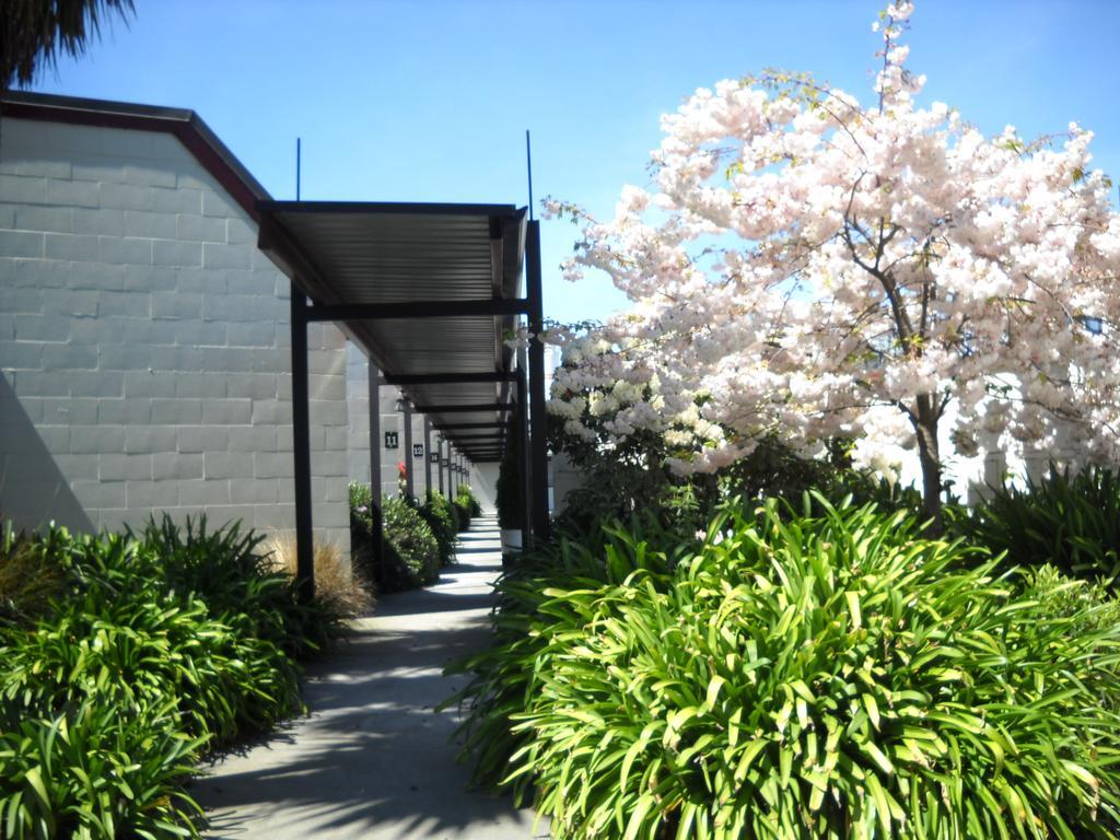 Gothic Heights Motel Christchurch Exteriér fotografie